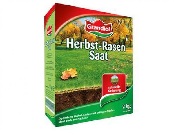 1008206Grandiol-Herbstrasensaatxxl73681566839291.jpg