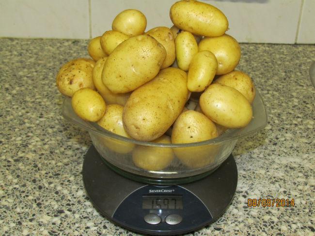 11tt70691410210980.JPG