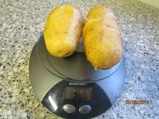 12tt17801410817116.JPG