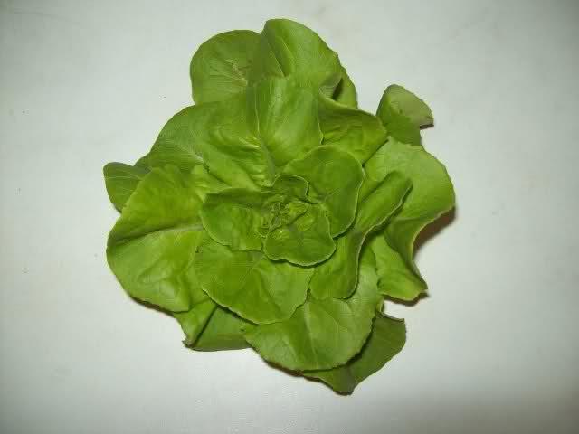 14wajkk71791372003926.jpg