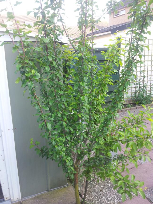 2012052418555298841337885469.jpg