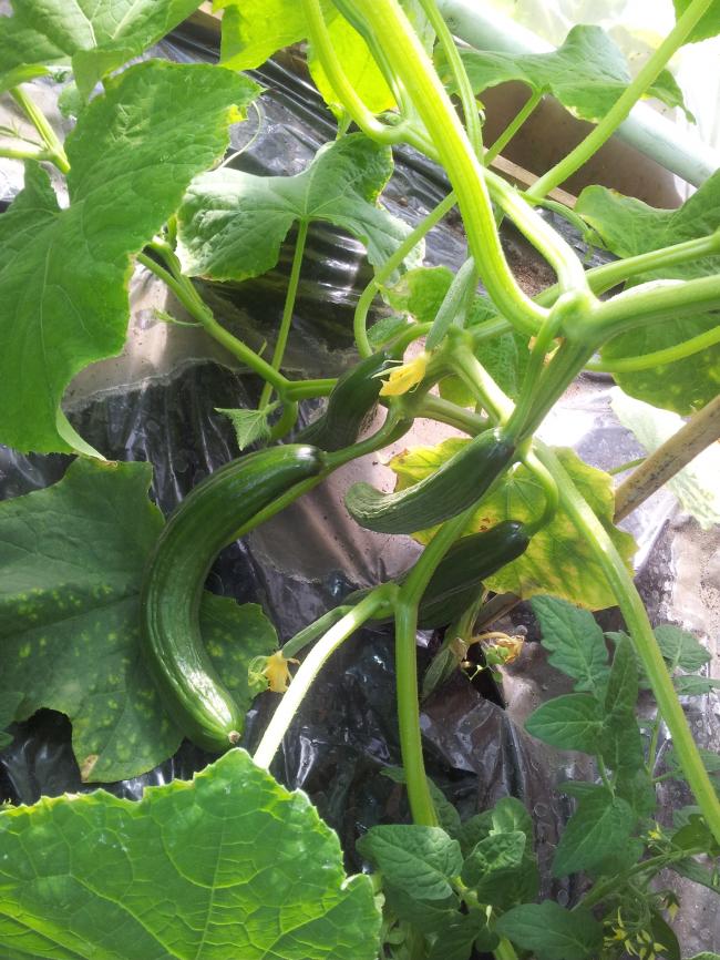 2012061717435795671341347015.jpg