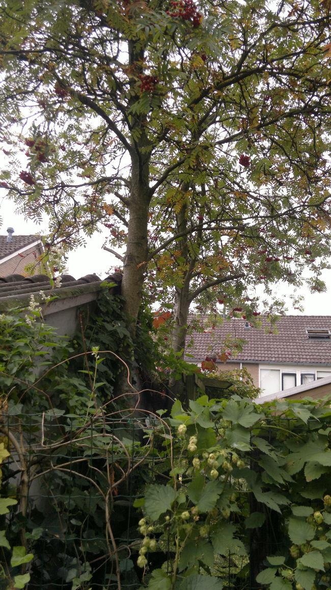 2013-10-08-19445321381226657.jpg