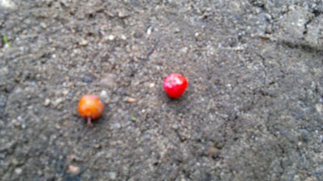 2013-10-08-19745261381226683.jpg