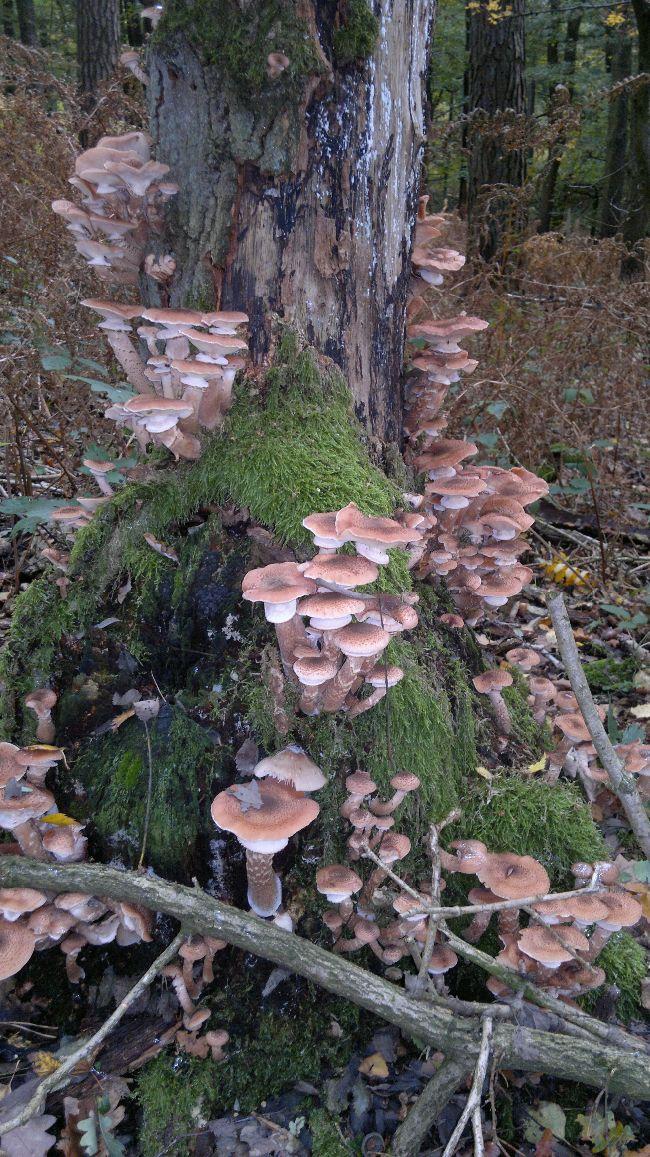 2013-10-19-20321501383077599.jpg