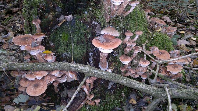 2013-10-19-20412031383077609.jpg