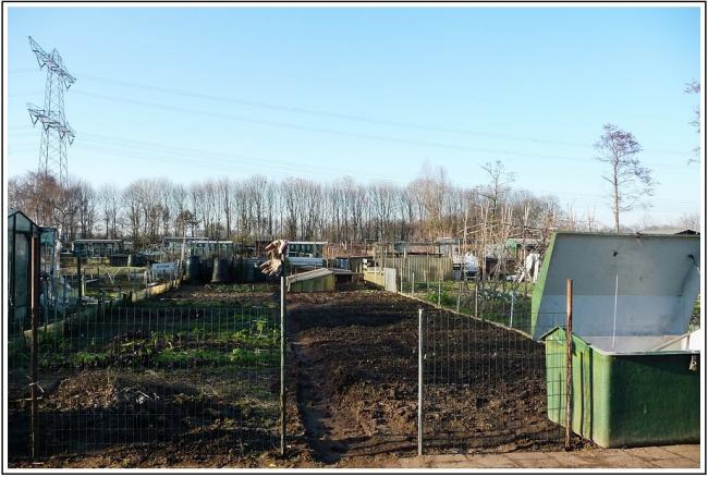 2013tuin01444931358086650.jpg