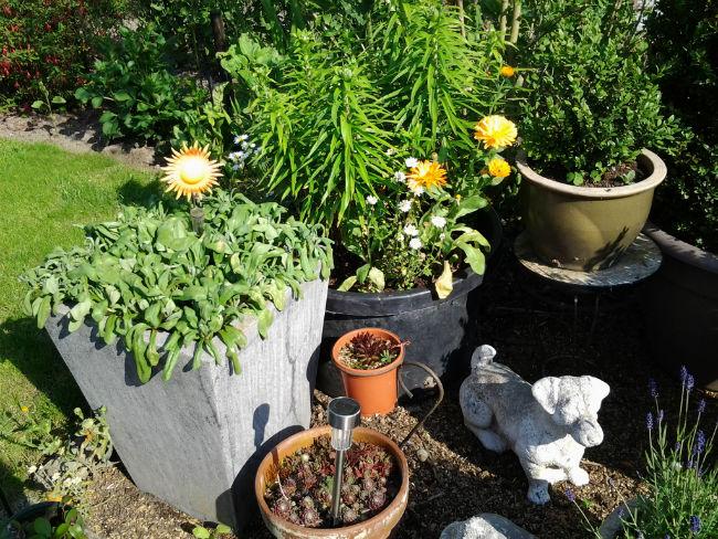 2014-zomer-567451426664226.jpg
