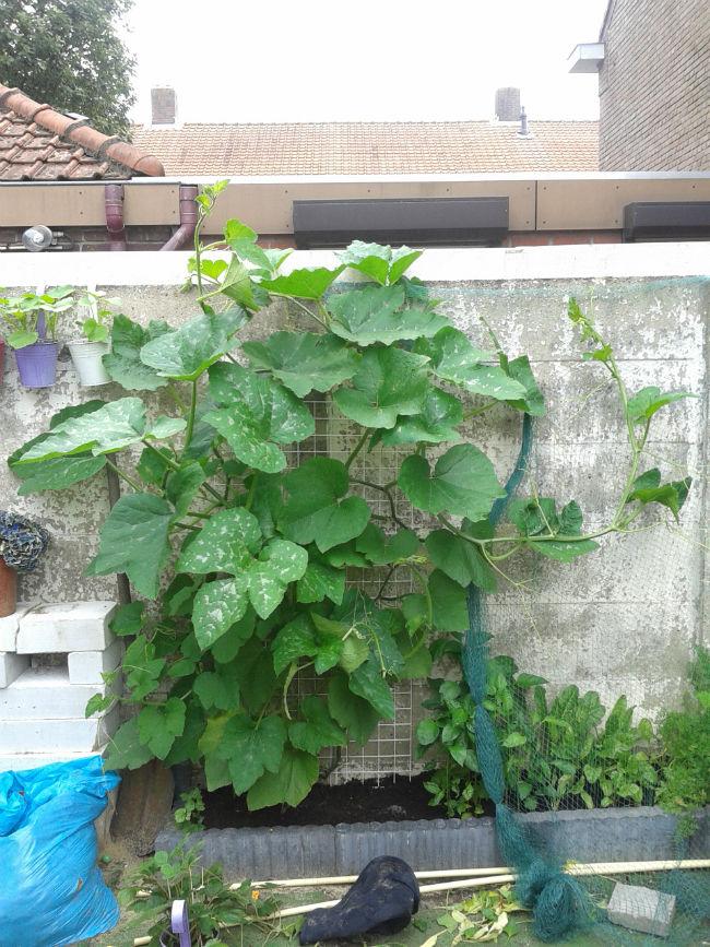2014072611465370061407942348.jpg
