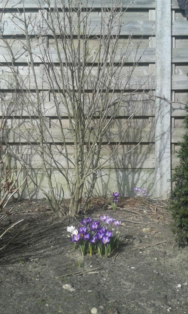 2015030713284599491425915854.jpg