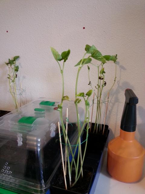 2015042609223747201430041045.jpg
