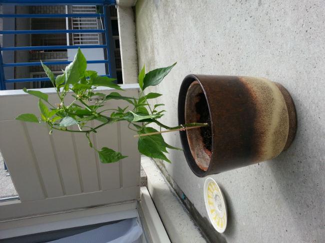2015082410324150751440405470.jpg