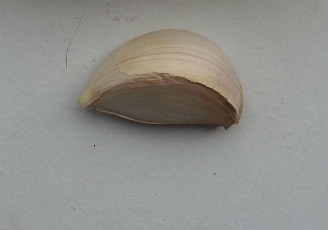 20151018120730cut68101445787590.jpg