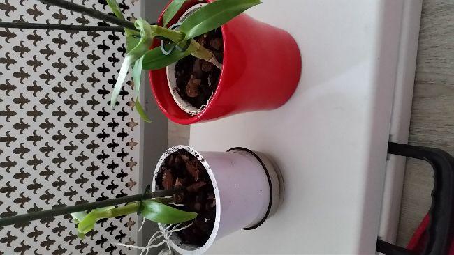 2016011112455276961452513135.jpg