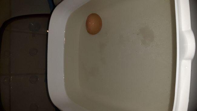 2016112010323154631479635580.jpg