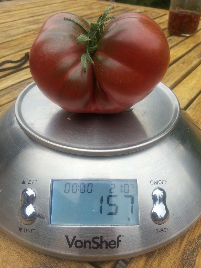 2017072619390734541501410688.jpg