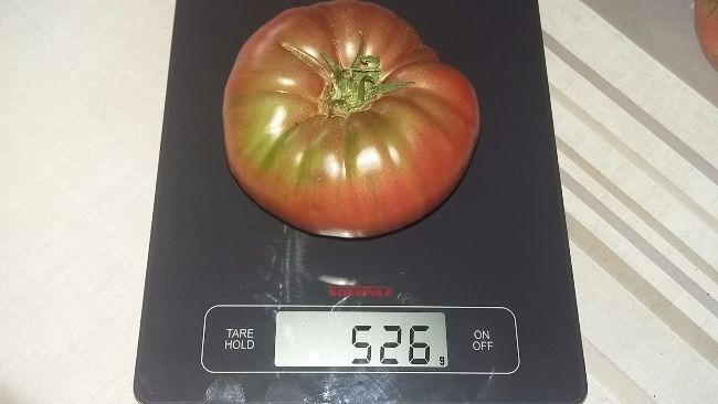 2017083010382768471504082537.jpg