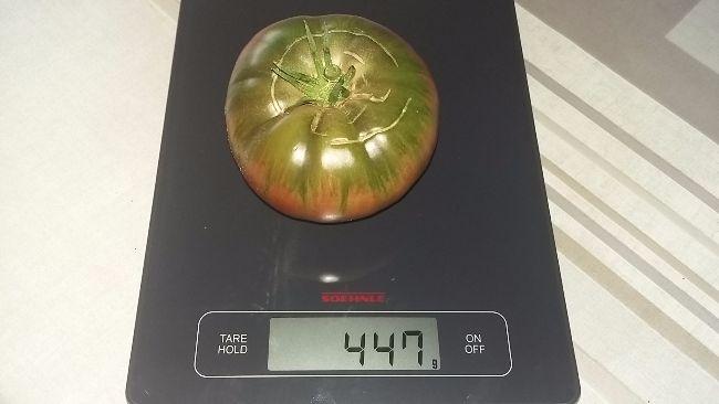 2017083010444578511504082767.jpg
