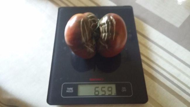 2017090211190439921504344355.jpg