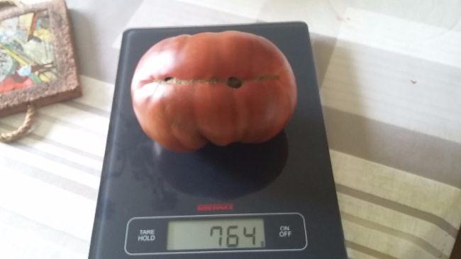 2017091715034981641505654364.jpg