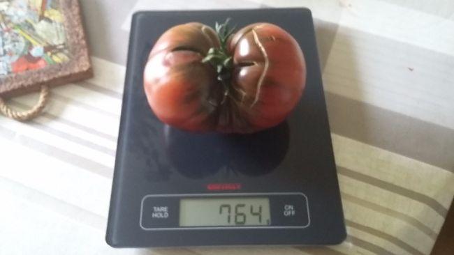 2017091715041066801505654370.jpg
