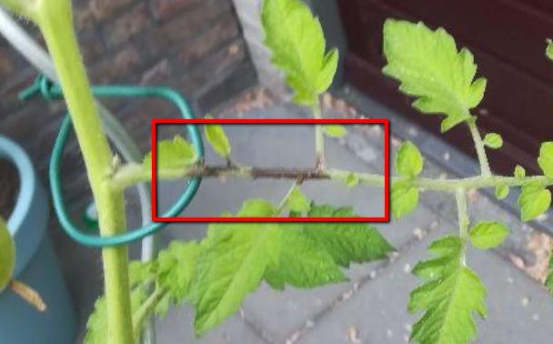 2018-07-13105380701531472106.png