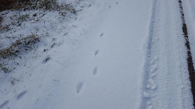 2018030310434039371520152556.jpg