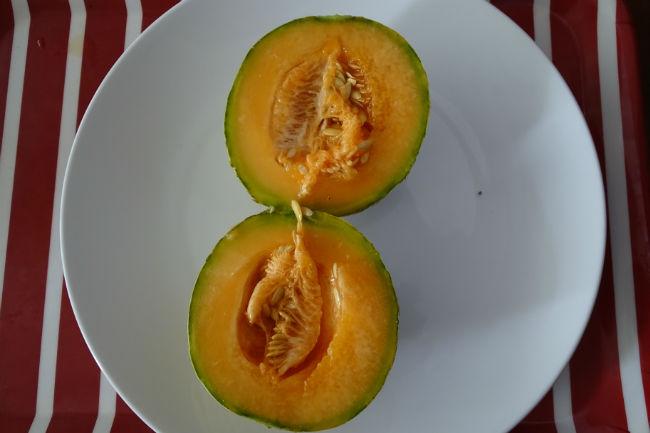 2019-08-29-cantaloupe-slachtbank94501567230420.jpg