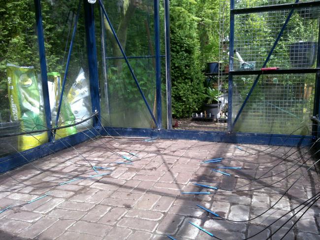 2105201266629041337626058.jpg