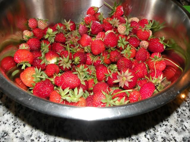 23-juni-2012-014-(small)30591340475869.JPG
