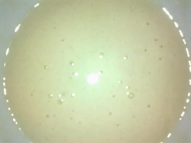 242y00060991371156394.jpg