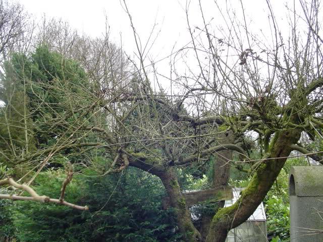 25089zt65361371236780.jpg