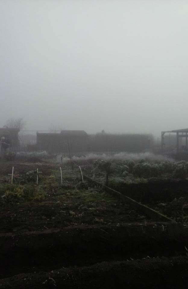 29-12-2016-260021483030421.jpg