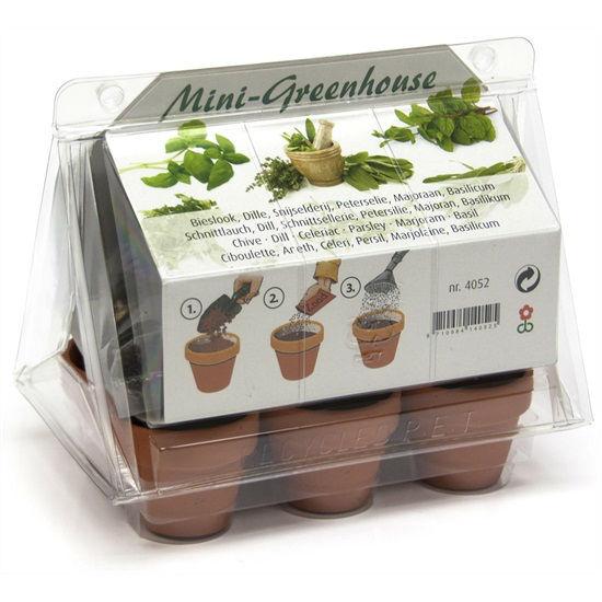 4052mini-kweekkastje-6-keukenkruidenextra550550182981442497938.jpg