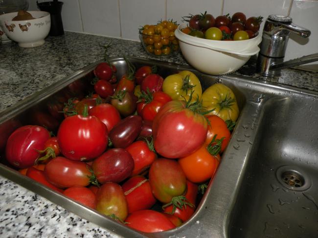 6-augustus-2012-01889651344260752.JPG