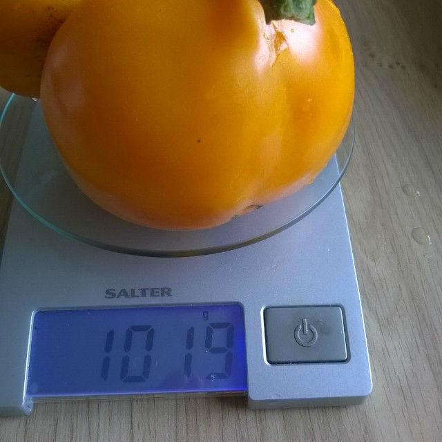 6tag060914-10460270831410037710.jpg