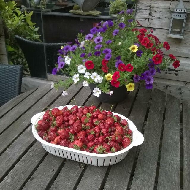 6tag180614-15451740161404650836.jpg