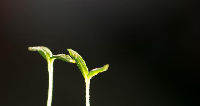 801347361031455645973.jpg
