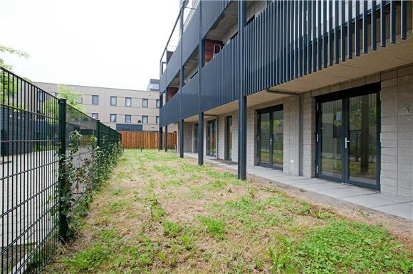 875groot78831350901705.jpg