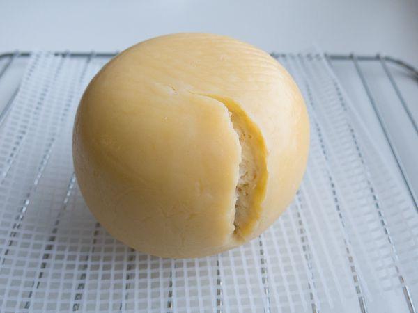 AN8006s44601552399047.jpg