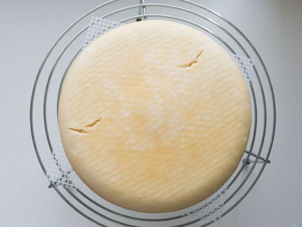 AN8012s97391552399049.jpg