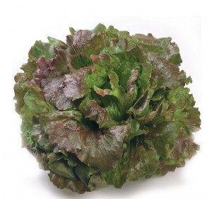 BATAVIASLA-Rouge-Grenobloise83911457890632.jpg