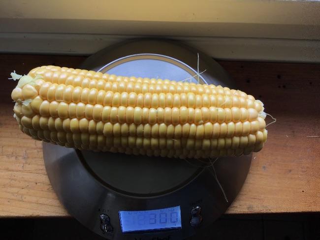 BF875118-FFA3-4E08-AD66-76EEDF334DFC49911565787709.jpeg