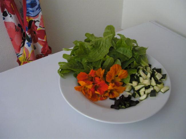 BILD370952511406573184.JPG