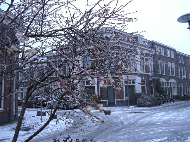 BILD771577261492390266.JPG