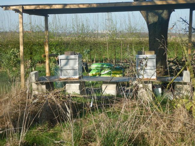 Bijenkasten26991490808352.JPG