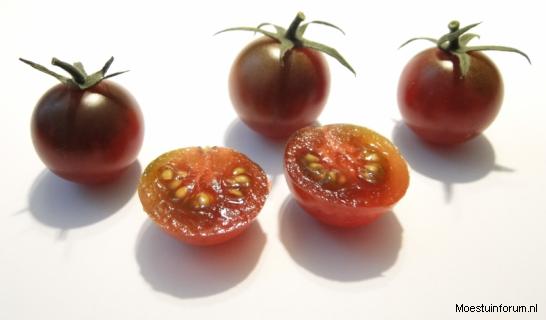 BrownCherry322251384009647.PNG