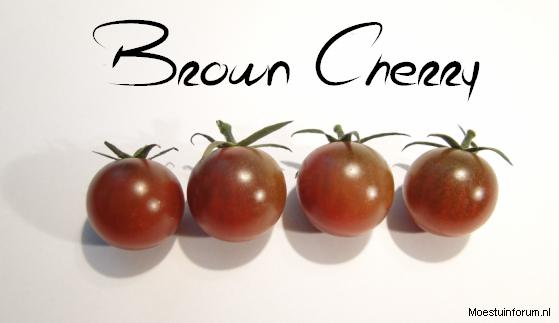 BrownCherry51851384009642.PNG