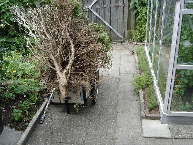 Buitendoen-00334111407049730.JPG