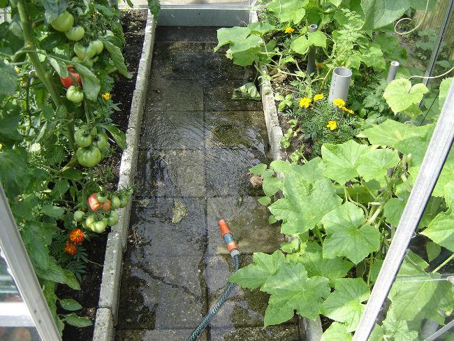 Buitendoen-01144991407049750.JPG